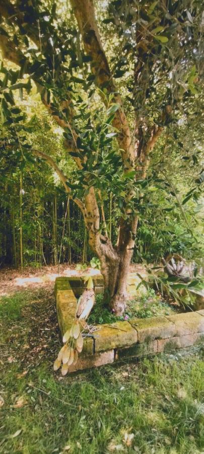 Casetto Rosso San Lazzaro di Savena Dış mekan fotoğraf
